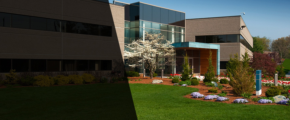 Balch Springs Landscapers